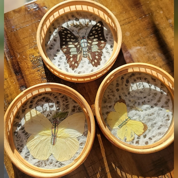 Set of 3 Butterfly 🦋 Coasters - Picture 1 of 6
